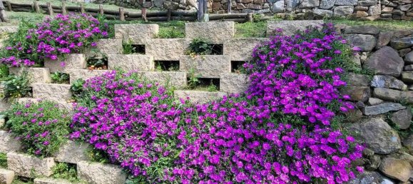 13 rooms House in Reggello, Italy No. 70430 26