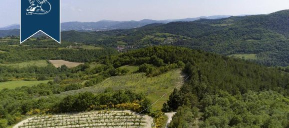 15 chambres Propriété commerciale à Città di Castello, Italy No. 320313 37