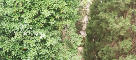 4 rooms House in Melizzano, Italy No. 69358 21