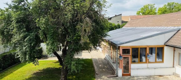 Hôtel à Zurndorf, Austria 896m² No. 231359 14