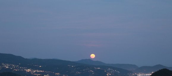 13 Schlafzimmer Villa in San Colombano Certenoli, Italy, Nr. 327352 33