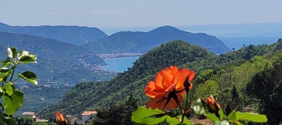 13 Schlafzimmer Villa in San Colombano Certenoli, Italy, Nr. 327352 2