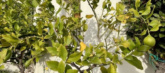 6 rooms Penthouse in Olbia, Italy No. 59837 46