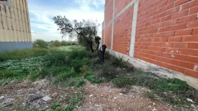  Land in Alcanar, Spain No. 206097