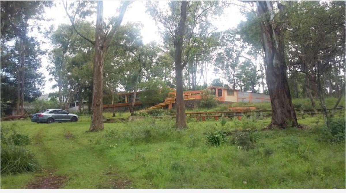 5 غرف نوم منزل في Pachuca de Soto, Mexico رقم 173901