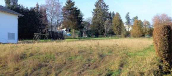 Terreno en Lippe, Germany No. 183563 4