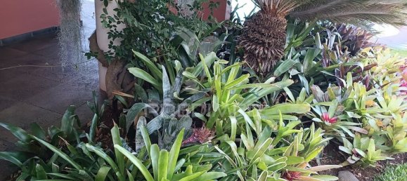 Дом с 4 спальнями в Фуншал, Португалия № 146490 10