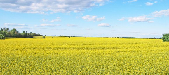 Таунхаус с 3 спальнями в Мекленбургское Поозёрье, Германия № 352230 16