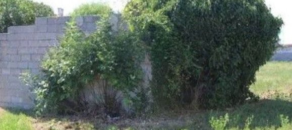 2 bedrooms House in Annone Veneto, Italy No. 178781 6