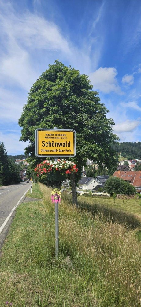 1 chambre Appartement à Schwarzwald-Baar-Kreis, Germany No. 220608