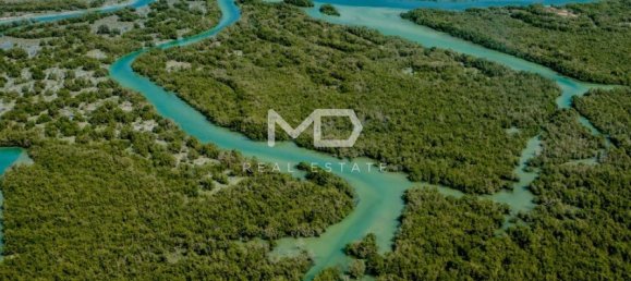 3 غرف نوم تاون هاوس في جزيرة ياس, UAE رقم 40820 15