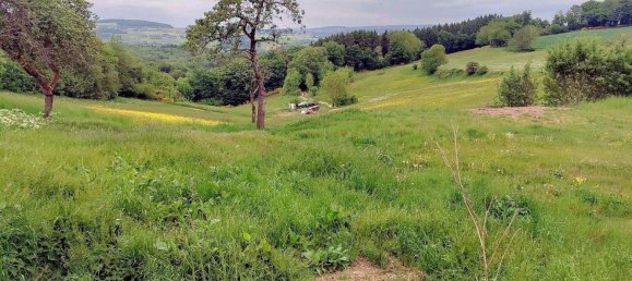 Casa de 8 divisões em Rhineland-Palatinate, Germany N.º 261794 8