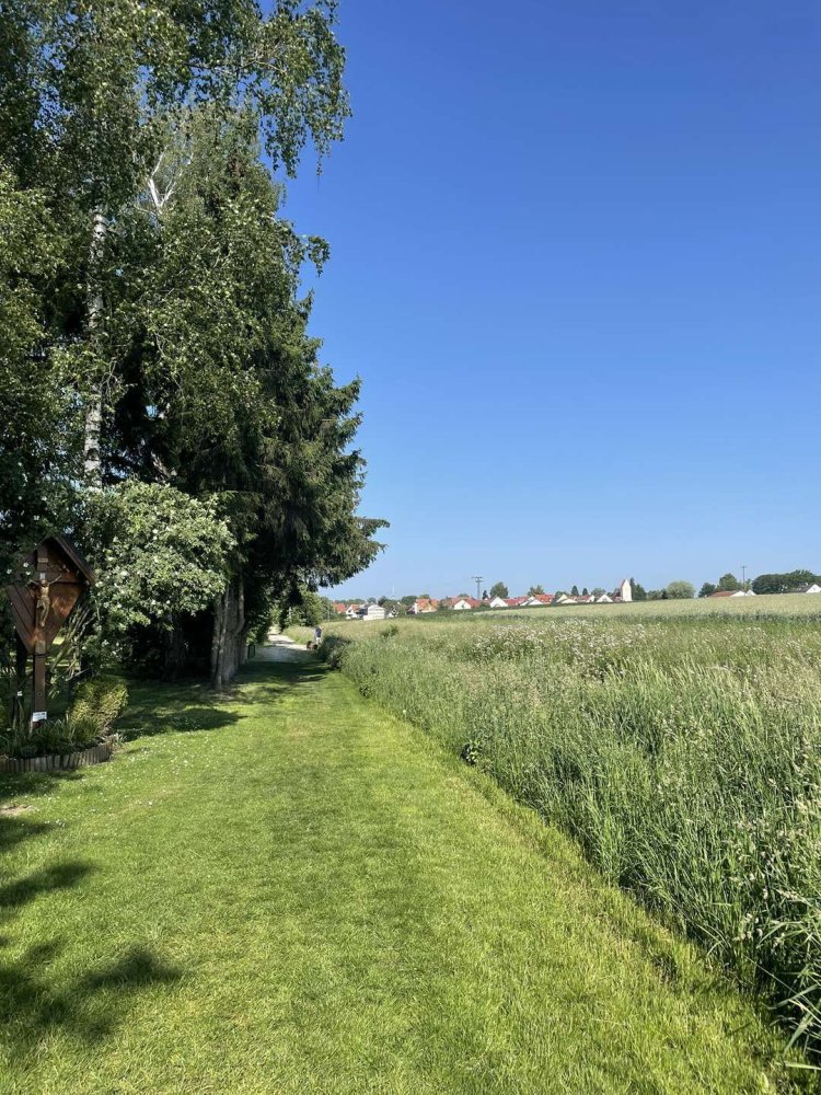  Land in Dachau, Germany No. 316467