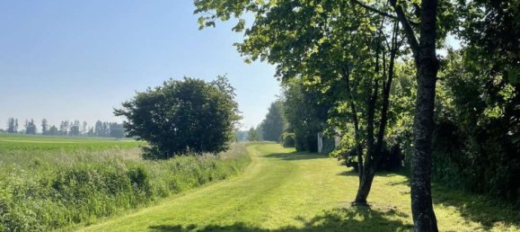 Land in Dachau, Germany No. 316467 6