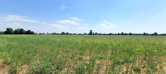 Terreno em Fidenza, Italy 180000 m² N.º 268749 25