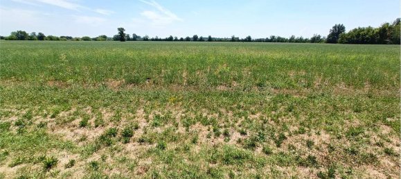 Terreno em Fidenza, Italy 180000 m² N.º 268749 24