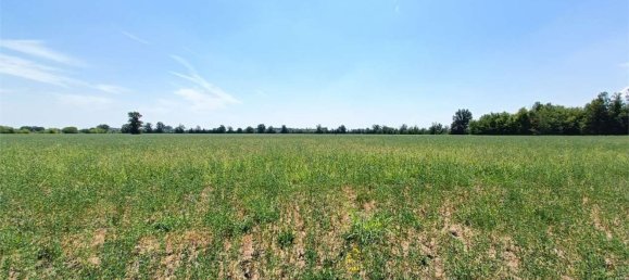 Terreno em Fidenza, Italy 180000 m² N.º 268749 27