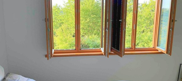 4 غرف نوم تاون هاوس في Wunsiedel, Germany رقم 273965 10