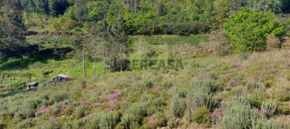  Land in Arganil, Portugal No. 160350 10