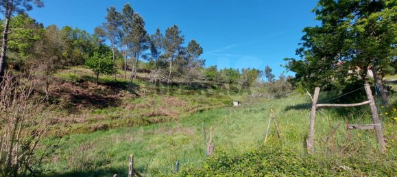  Land in Arganil, Portugal No. 160350 5