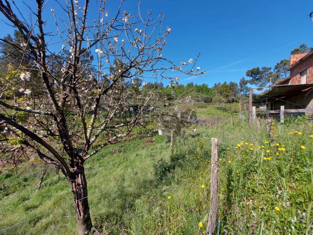  Land in Arganil, Portugal No. 160350