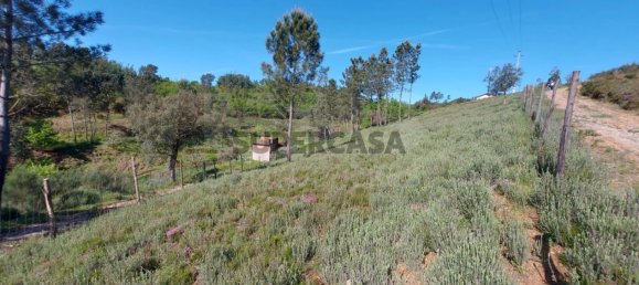  Land in Arganil, Portugal No. 160350 8