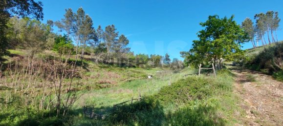  Land in Arganil, Portugal No. 160350 3