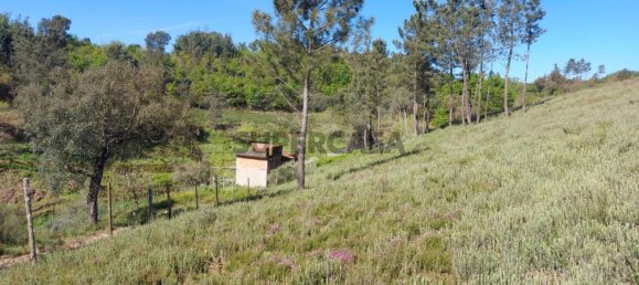  Land in Arganil, Portugal No. 160350 9