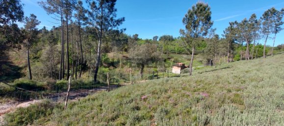  Land in Arganil, Portugal No. 160350 7