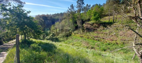  Land in Arganil, Portugal No. 160350 6