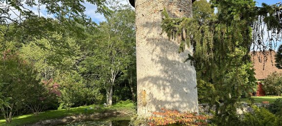 3 bedrooms House in Villefranche-sur-Cher, France No. 243587 4