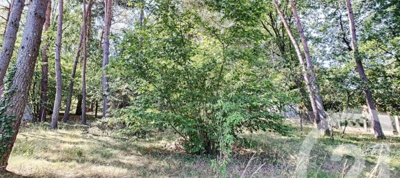 4 chambres Maison à Romorantin-Lanthenay, France No. 97352 21