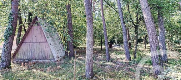 4 chambres Maison à Romorantin-Lanthenay, France No. 97352 19