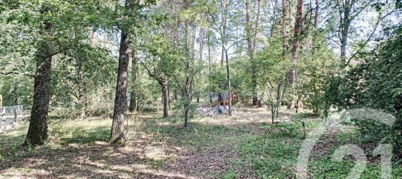 4 chambres Maison à Romorantin-Lanthenay, France No. 97352 18