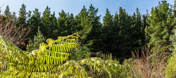 2 Schlafzimmer Haus in Wainuiomata, New Zealand, Nr. 31 22
