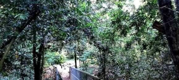 2 chambres Villa à Cerveteri, Italy No. 168322 3