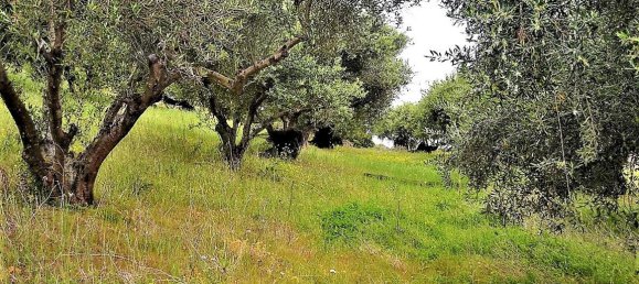 6200m² Hotel in Corfu, Greece No. 4958 4