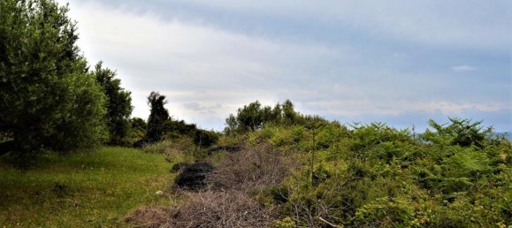 6200m² Hotel in Corfu, Greece No. 4958 5