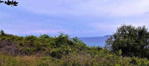 6200m² Hotel in Corfu, Greece No. 4958 7