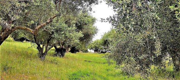 6200m² Hotel in Corfu, Greece No. 4958 3