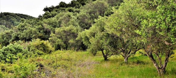 6200m² Hotel in Corfu, Greece No. 4958 6