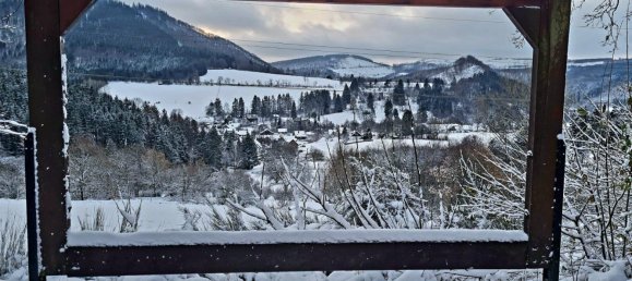 Apartamento de 1 dormitorio en Hochsauerlandkreis, Germany No. 296862 13