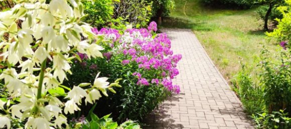 4 chambres Bungalow à Teltow-Flaming, Germany No. 278830 8