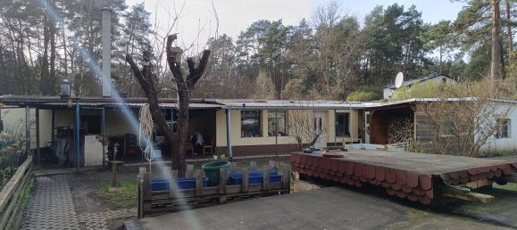 Bungalow de 4 divisões em Teltow-Flaming, Germany N.º 259095 3