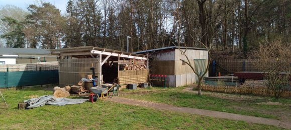 Bungalow de 4 divisões em Teltow-Flaming, Germany N.º 259095 5