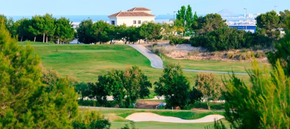 3 bedrooms Villa in Pilar de la Horadada, Spain No. 11481 14