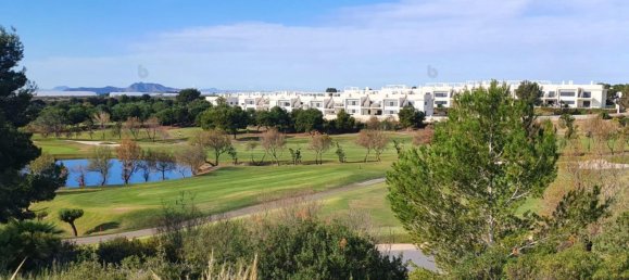 3 bedrooms Villa in Pilar de la Horadada, Spain No. 11481 8