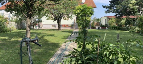 Casa de 9 habitaciónes en Wiener Neustadt, Austria No. 217883 17