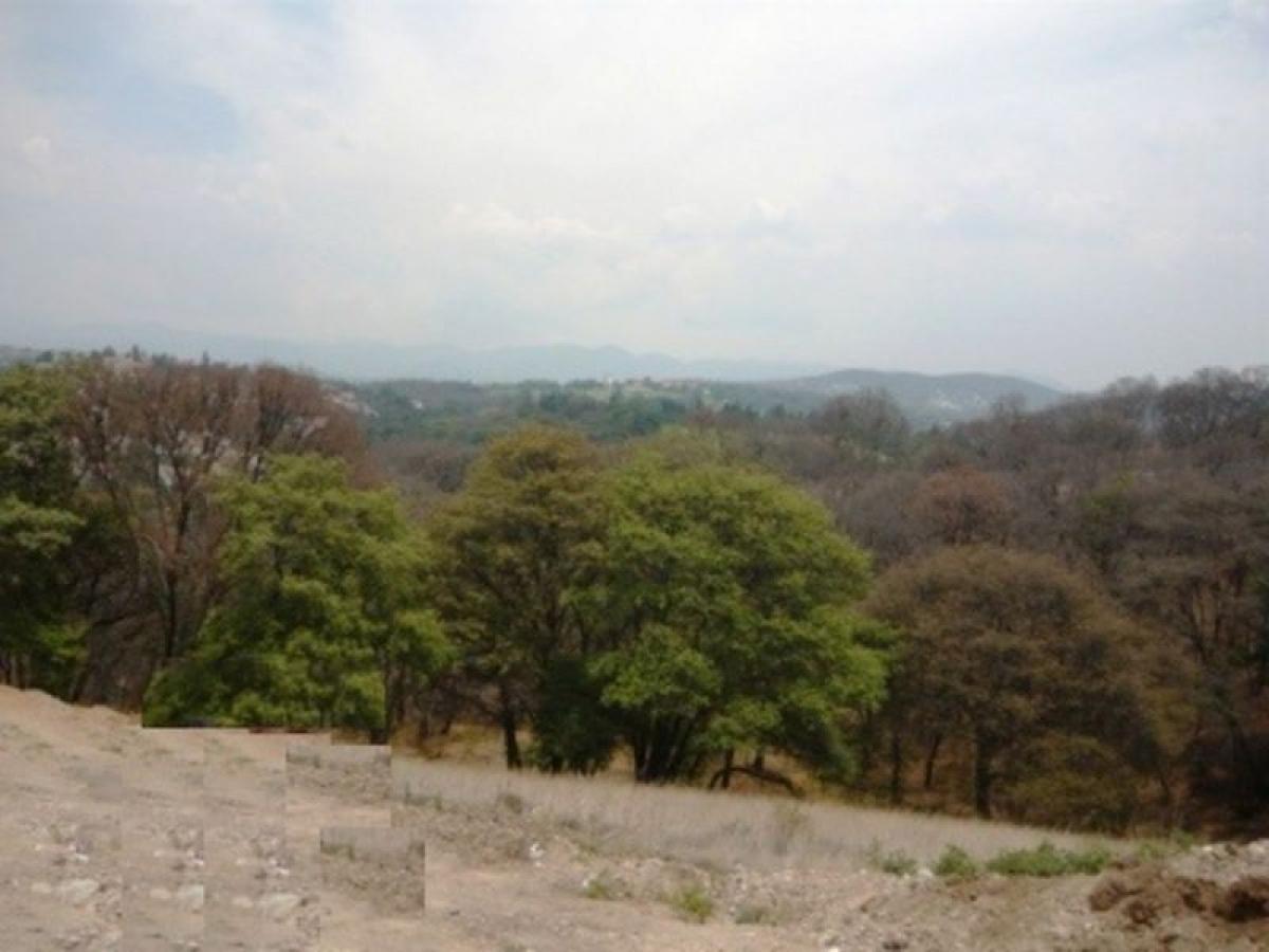  Land in Ciudad Lopez Mateos, Mexico No. 203161