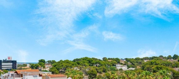 2 chambres Penthouse à Torrevieja, Spain No. 149867 25